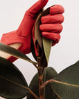 Corto Red Lambskin Gloves - Nina Nieves